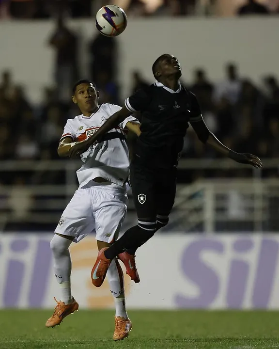 Botafogo lutou, mas foi eliminado da competição