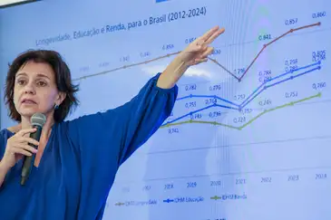 Coordenadora do PNUD, Betina Barbosa explica os dados referentes a 2012-2024