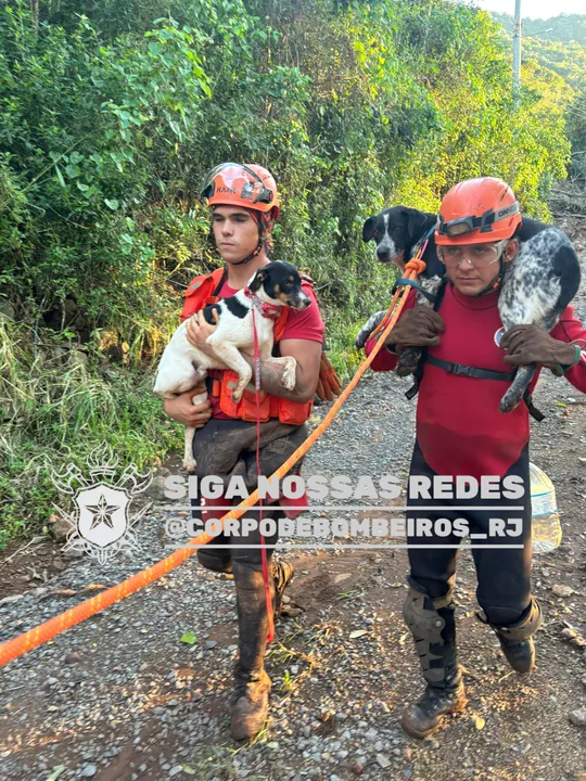 No mesmo período de 2025, foram mais de 5 mil salvamentos