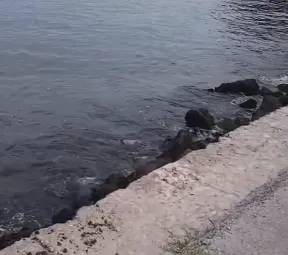 Por volta das 7h53, o corpo já estava próximo às pedras, visível para quem passava pelo local