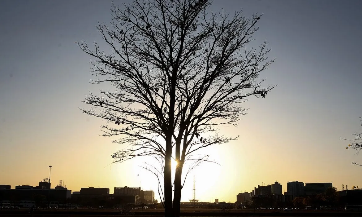 O relatório do IPCC é uma das principais referências internacionais sobre a crise climática