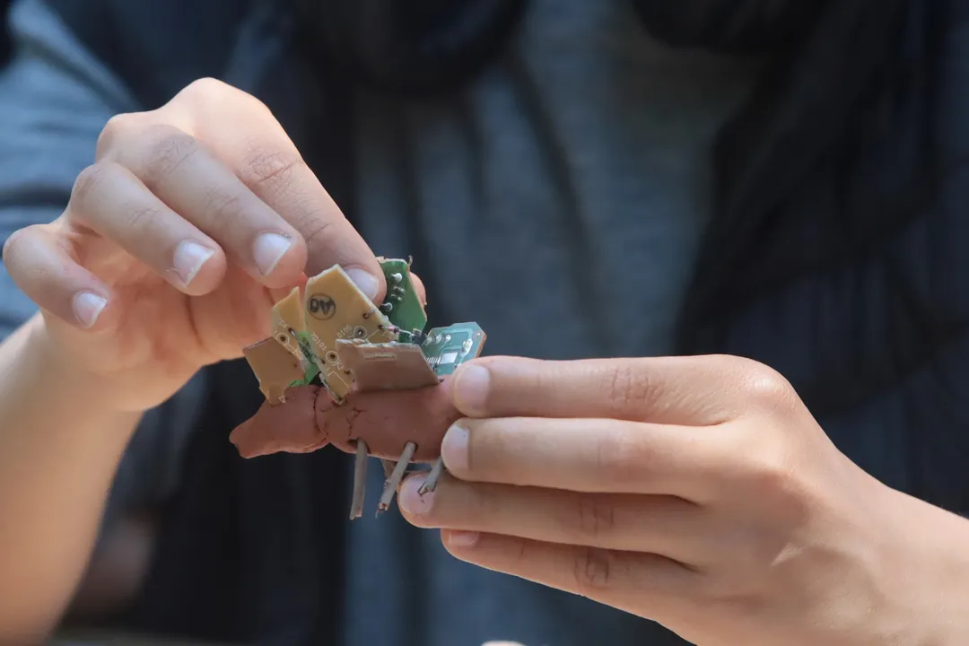 A Escola de Artes Visuais do Parque Lage é uma das principais escolas de arte do Brasil e da América Latina, na formação de artistas e de novos públicos