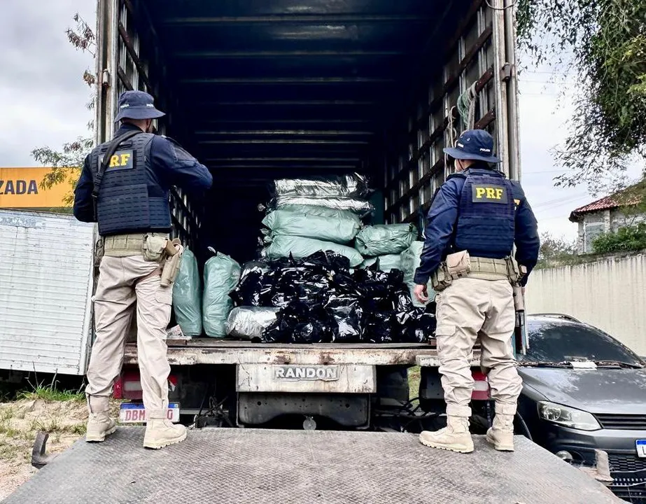 No interior do baú do caminhão, os policiais localizaram diversas embalagens contendo maconha