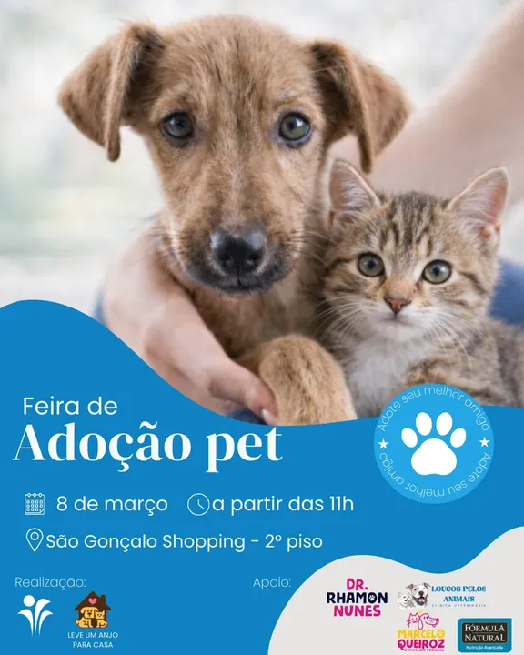 Os animais adotados durante a feira terão descontos para consultas, vacinas e exames