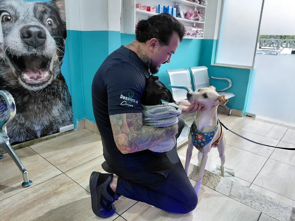 O médico veterinário Carlos Henrique Alves explica que o problema está diretamente ligado à capacidade auditiva dos animais