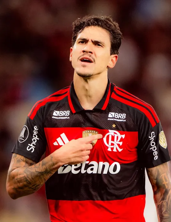 Pedro marcou o gol que deu a vitória ao Flamengo