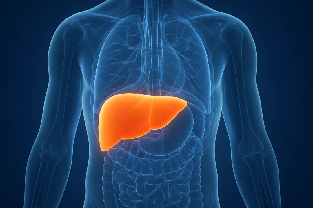 A gravidade do cenário preocupa pesquisadores internacionais