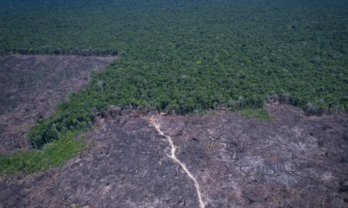 Segundo o pesquisador, os Estados Unidos estão levando vantagens comerciais por não aplicarem nenhuma medida de proteção ambiental como a redução da emissão de carbono