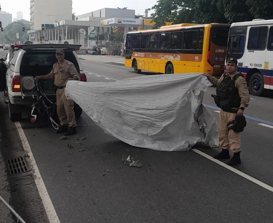Os guardas foram acionados pela equipe do Centro de Operações Rio (COR-RIO)