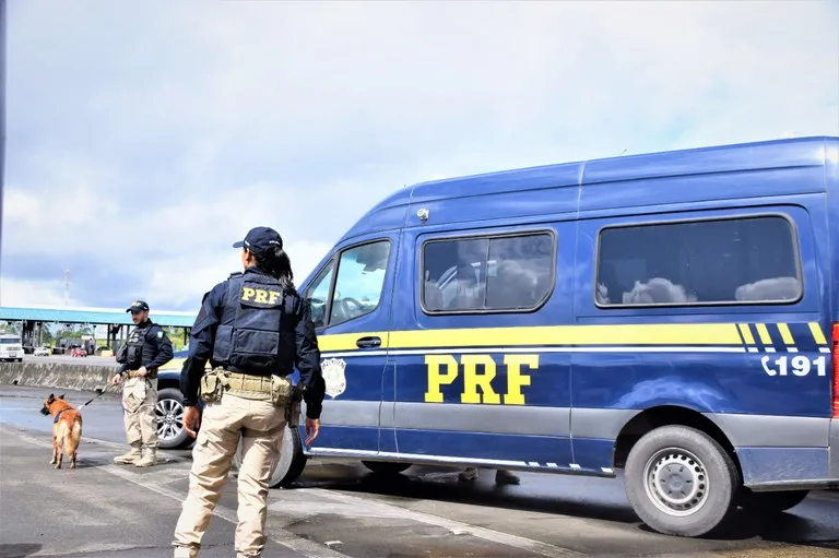De acordo com a PRF, durante a abordagem, os agentes sentiram um forte odor de entorpecentes, o que levou a vistoria com os animais