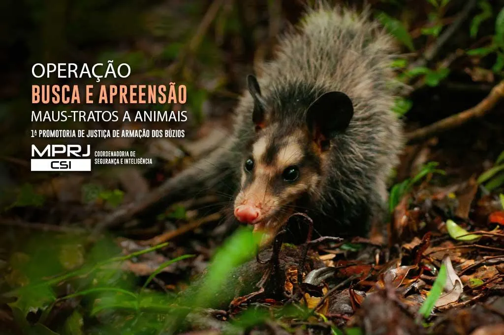 A proprietária do estabelecimento foi detida, acusada de maus-tratos contra animais