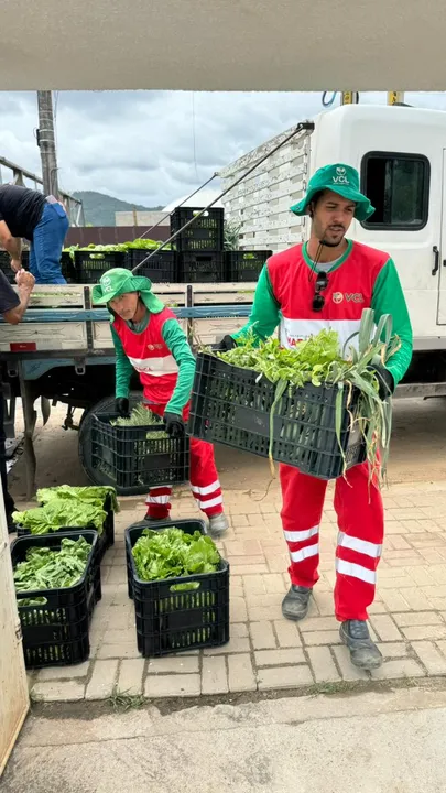 Ao todo, foram entregues 60 caixas de alimentos