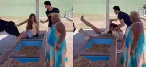 Nicole Bahls leva cabeçada de vaca, é arremessada e cai em bebedouro
