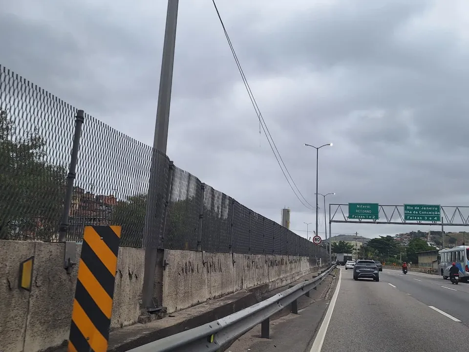 O mato alto comprometia a visibilidade dos condutores