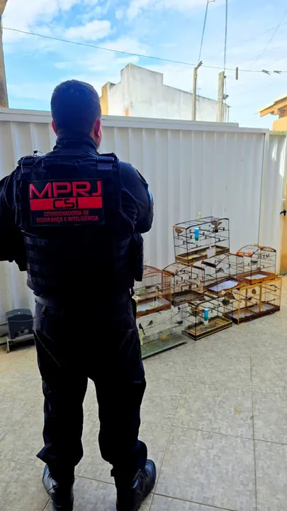 Além do tráfico de animais silvestres, a operação também revelou a prática de outros crimes associados