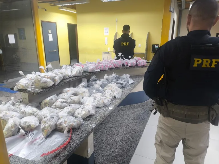 Material entorpecente apreendido pela Polícia Rodoviária Federal