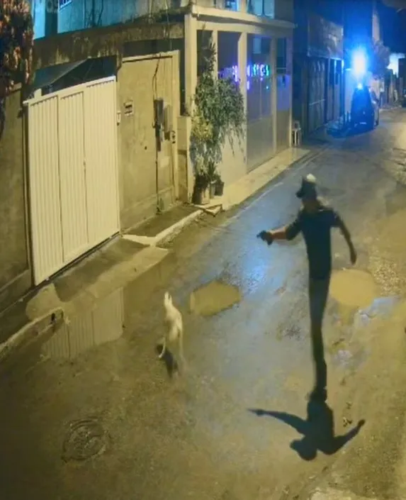 Crime aconteceu no sábado; o criminoso atirou cinco vezes, acertando o animal em quatro
