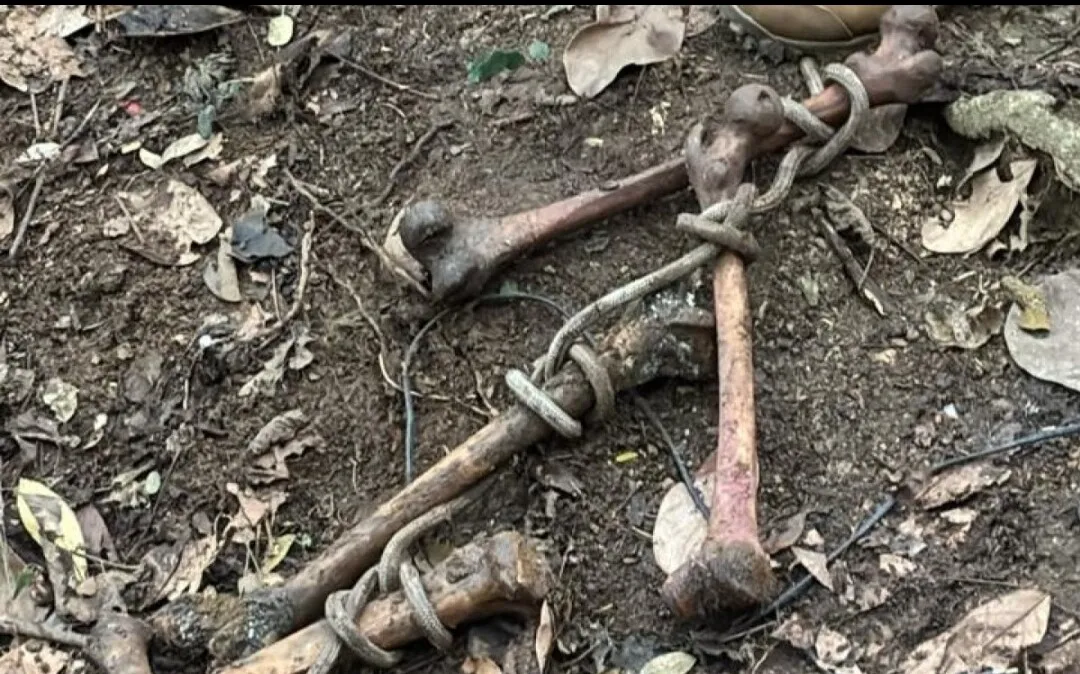 Ossadas encontradas em cemitério clandestino no Morro do Jordão