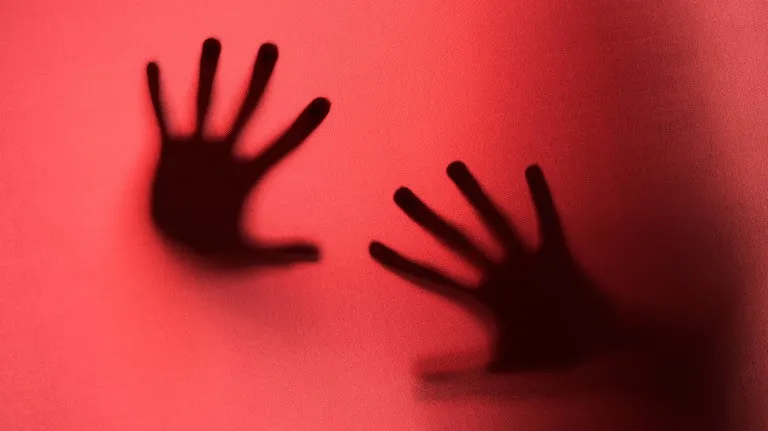 Em 2021, em Ribeirão Preto (SP), Daiane Cristina Rodrigues, que estava grávida do segundo filho do relacionamento com seu companheiro, foi assassinada e teve seu corpo carbonizado