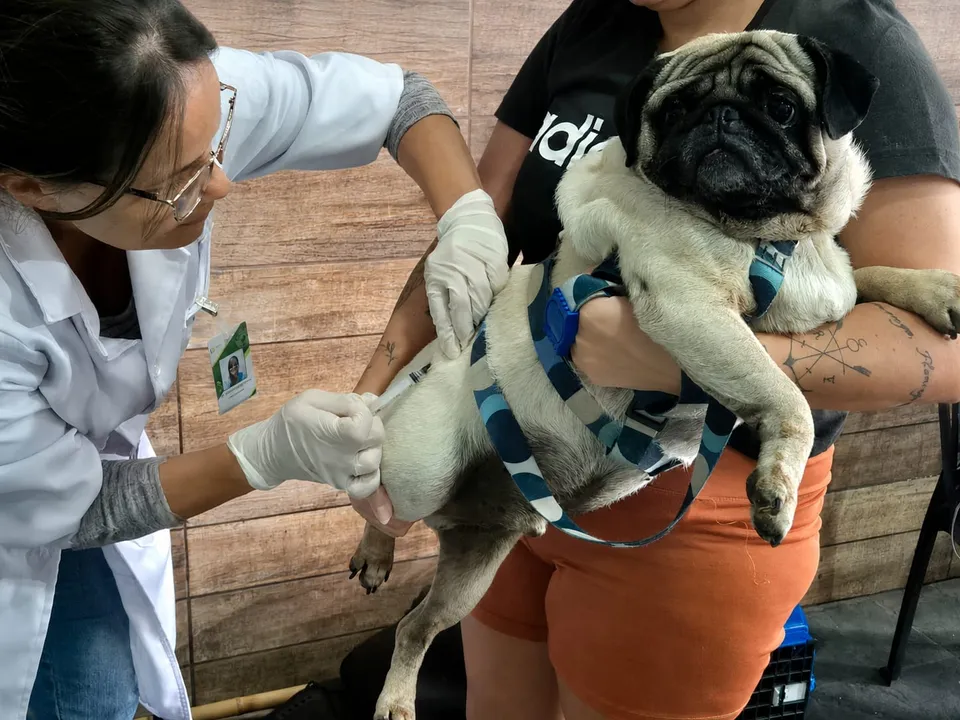 Para ter acesso ao serviço, basta realizar o cadastro no site vacinamaisrj.com.br e escolher o horário desejado