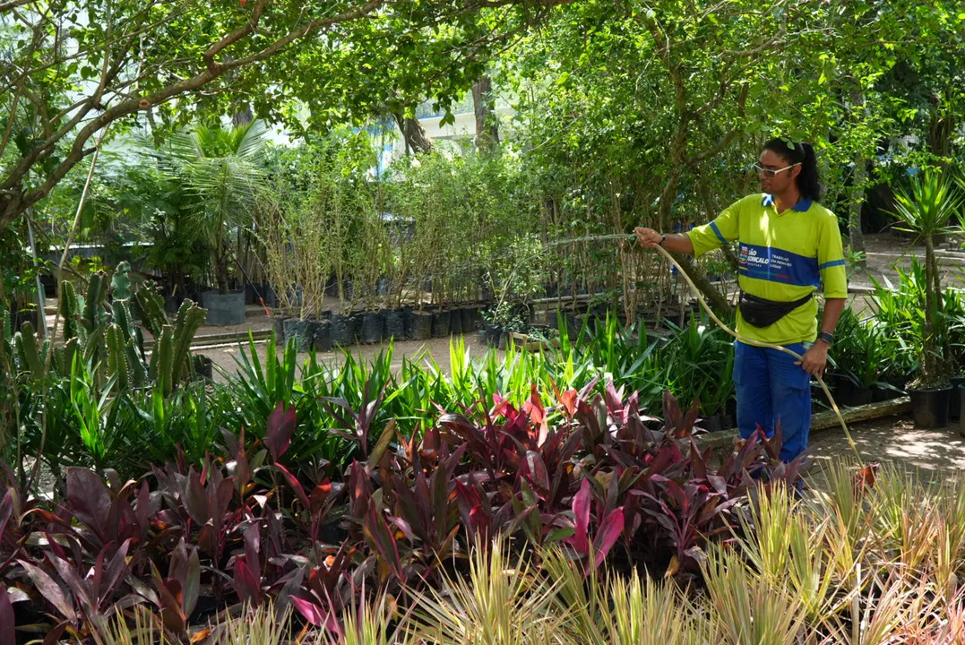 Só no ano de 2025, foram plantadas quase 36 mil mudas de espécies variadas, das quais 25.500 foram cultivadas no Horto Municipal