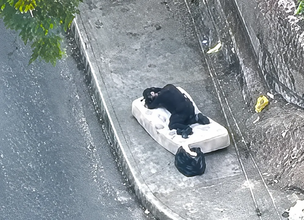 Prenderam um homem suspeito de tráfico de drogas enquanto ele dormia em uma rua