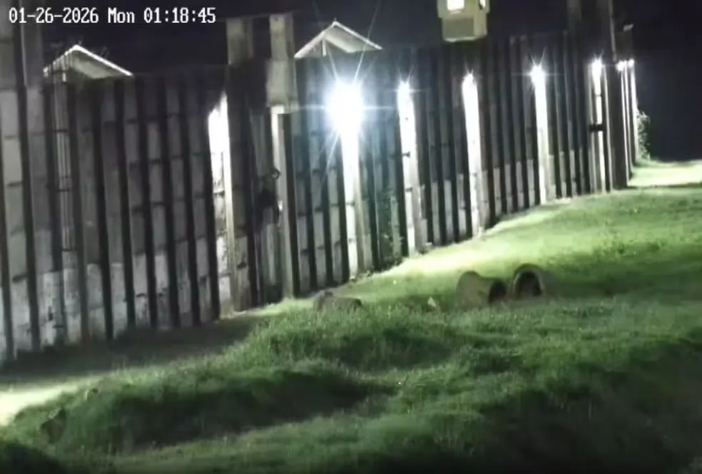 Câmeras de segurança registraram o momento em que um dos detentos tentava pular o muro utilizando uma corda