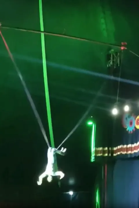 O público ficou em choque, com gritos e choro