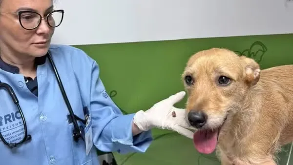 Aurora foi uma das vítimas, mas após receber atendimento teve alta