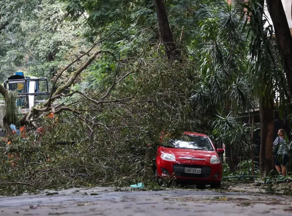 Advogado esclarece dúvidas sobre o responsável por prejuízo quando carros são danificados por causa de vendavais e questões climáticas