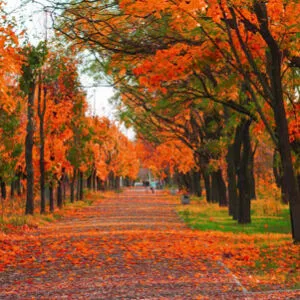 O início do outono em 2026 deve ser marcado por dias ainda quentes e abafados