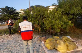 Ação conjunta na orla de Niterói recupera pomar urbano e reforça importância ambiental