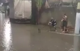 Alagamento após forte chuva leva jacaré às ruas de Duque de Caxias