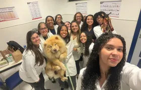 Alunos do curso de veterinária realizam aula prática de clínica com pequenos animais na Universo