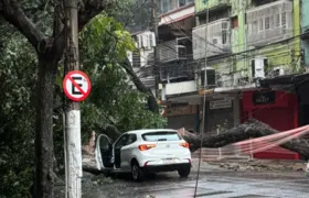 Árvore cai no Centro de Niterói causando transtorno no trânsito e falta de energia