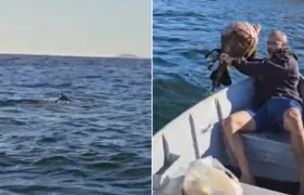 Baleia Jubarte fica presa em rede de pesca e 'pede ajuda' a pessoas que estavam no mar de Niterói