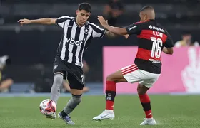 Botafogo e Flamengo se encontram, pelo Brasileirão, em momentos opostos na temporada