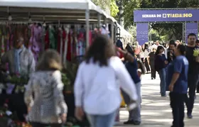 Desemprego no trimestre cai para menor taxa da série histórica