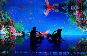 Dias de jogo do Brasil terão meia entrada no AquaRio, Museu de Cera, Mar de Espelhos e GEX