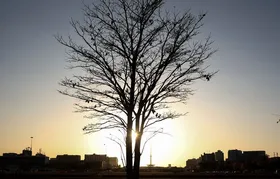 Duas pesquisadoras da Uerj participam do seleto grupo do IPCC da ONU