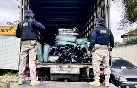 Em Magé, PRF apreende mais de meia tonelada de maconha
