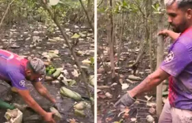 'Gabigol' e 'Arrascaeta' do Mangue são presos enquanto denunciavam e recolhiam lixo em manguezal de Niterói; Vídeo