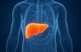Gordura no fígado: a nova epidemia silenciosa que ameaça milhões de brasileiros