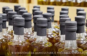 Governo alerta sobre fraudes em azeites de oliva vendidos no país