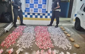 Homem é preso com grande carga de drogas na RJ-124, em Rio Bonito
