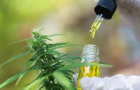 Importação de cannabis por brasileiros bate recorde em 2025, com quase 200 mil autorizações