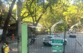 Infestação de abelhas interdita Campo São Bento, em Icaraí