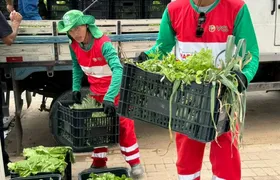 Maricá distribui hortaliças e legumes produzidos em praças agroecológicas do município