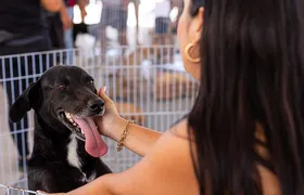 Maricá promove primeira Feira de Adoção de Cães e Gatos de 2026 neste sábado (10)