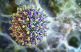 Ministério da Saúde diz que vírus Nipah não ameaça o Brasil